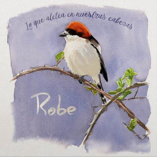 Robe | Lo Que Aletea En Nuestras Cabezas(vinilo)